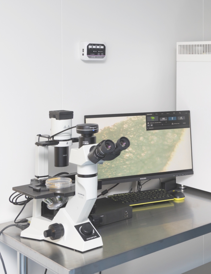 3D細胞培養技術により効果的な再生医療へ